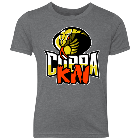 T-Shirts Premium Heather / YXS COBRA KAI Youth Triblend T-Shirt