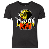 T-Shirts Vintage Black / YXS COBRA KAI Youth Triblend T-Shirt