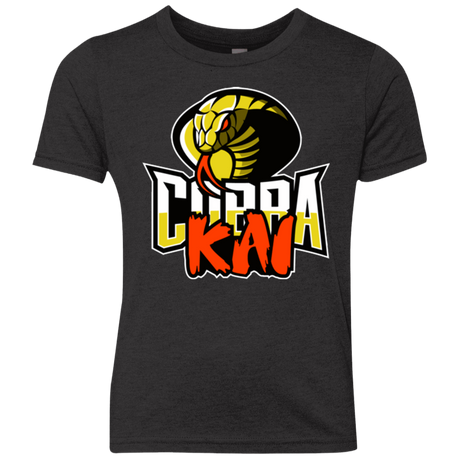 T-Shirts Vintage Black / YXS COBRA KAI Youth Triblend T-Shirt