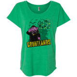 T-Shirts Envy / X-Small COUNTLANDS Triblend Dolman Sleeve