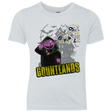 T-Shirts Heather White / YXS COUNTLANDS Youth Triblend T-Shirt