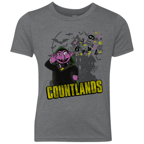 T-Shirts Premium Heather / YXS COUNTLANDS Youth Triblend T-Shirt