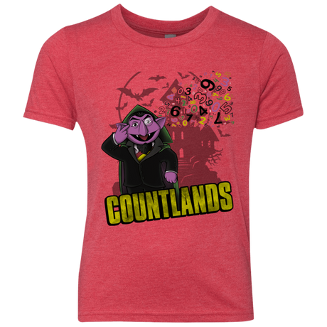 T-Shirts Vintage Red / YXS COUNTLANDS Youth Triblend T-Shirt