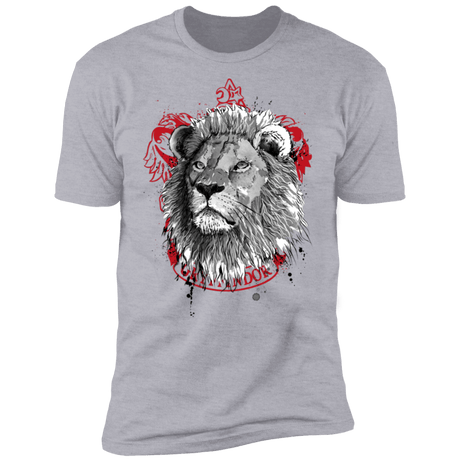 T-Shirts Heather Grey / S Courage and Determination sumi-e Men's Premium T-Shirt