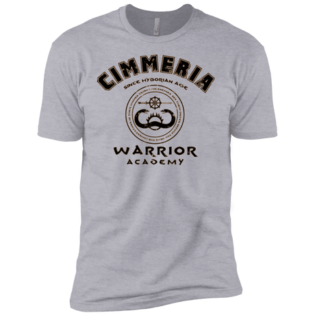 T-Shirts Heather Grey / YXS Crimmeria Warrior academy Boys Premium T-Shirt