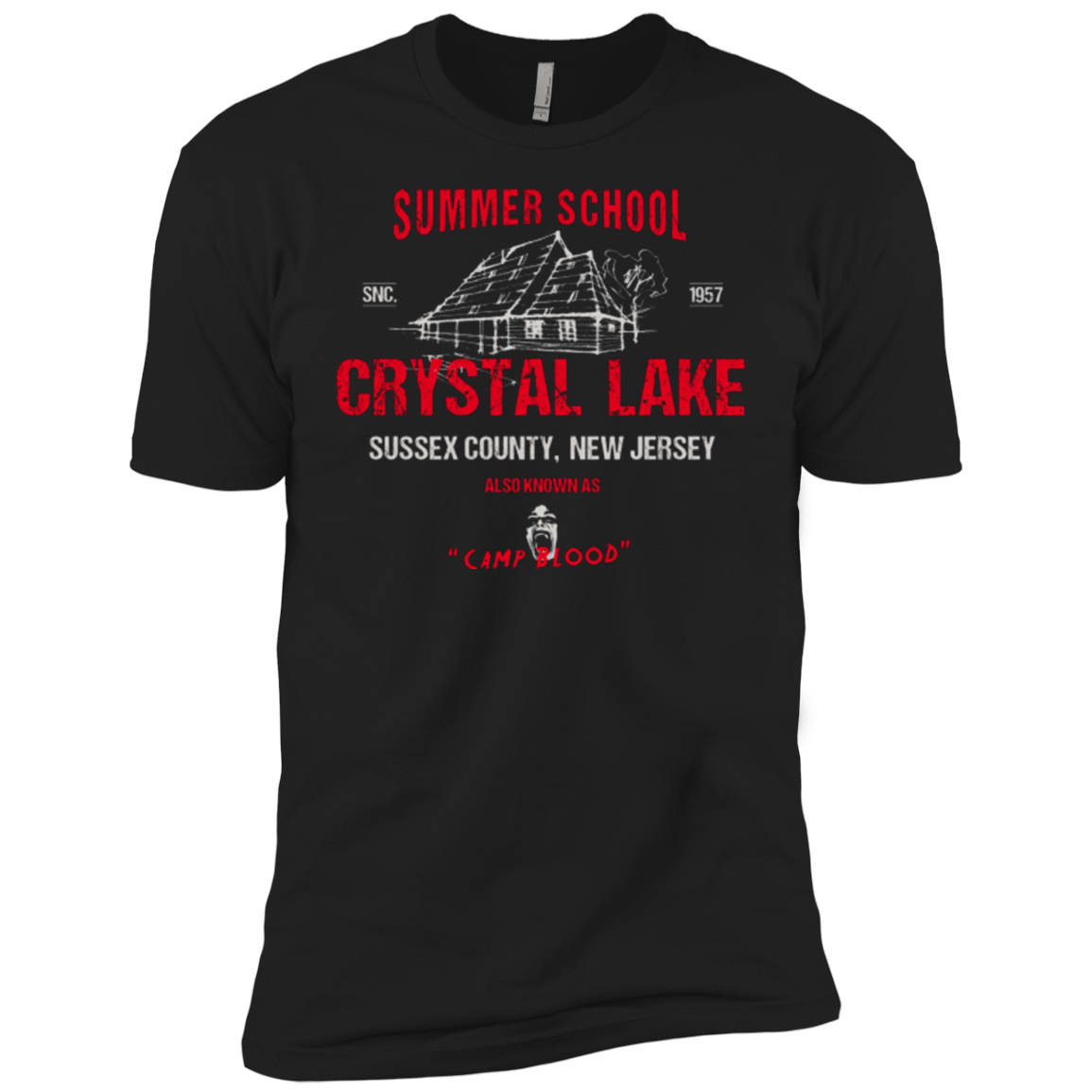 T-Shirts Black / YXS Crystal Lake summer school Boys Premium T-Shirt
