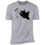 T-Shirts Heather Grey / YXS Curious Cat Boys Premium T-Shirt