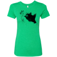 T-Shirts Envy / S Curious Cat Women's Triblend T-Shirt
