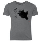 T-Shirts Premium Heather / YXS Curious Cat Youth Triblend T-Shirt