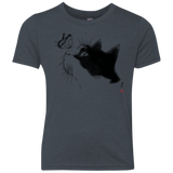 T-Shirts Vintage Navy / YXS Curious Cat Youth Triblend T-Shirt