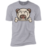 T-Shirts Heather Grey / YXS Cute Pug and Bone Boys Premium T-Shirt