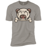 T-Shirts Light Grey / YXS Cute Pug and Bone Boys Premium T-Shirt