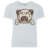 T-Shirts Heather White / YXS Cute Pug and Bone Youth Triblend T-Shirt