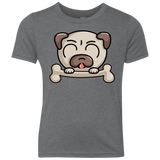 T-Shirts Premium Heather / YXS Cute Pug and Bone Youth Triblend T-Shirt