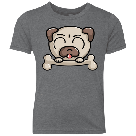 T-Shirts Premium Heather / YXS Cute Pug and Bone Youth Triblend T-Shirt
