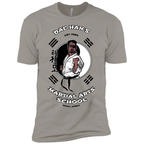 T-Shirts Light Grey / YXS Dae Hans Martial Arts Boys Premium T-Shirt