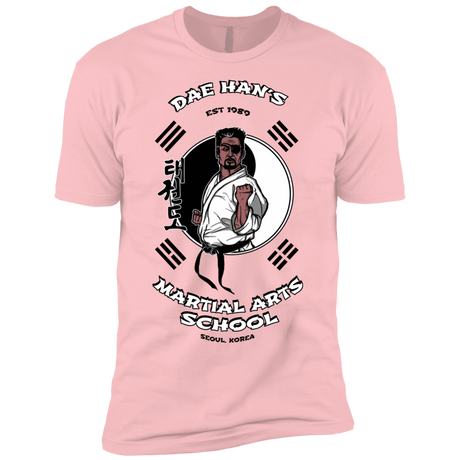 T-Shirts Light Pink / YXS Dae Hans Martial Arts Boys Premium T-Shirt