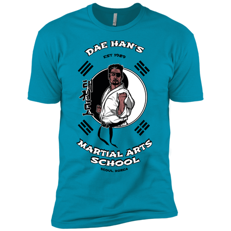 T-Shirts Turquoise / YXS Dae Hans Martial Arts Boys Premium T-Shirt