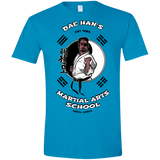 T-Shirts Sapphire / S Dae Hans Martial Arts Men's Semi-Fitted Softstyle