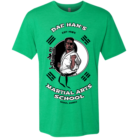T-Shirts Envy / S Dae Hans Martial Arts Men's Triblend T-Shirt