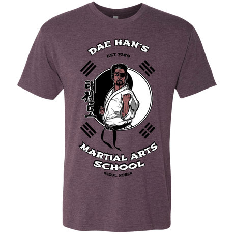 T-Shirts Vintage Purple / S Dae Hans Martial Arts Men's Triblend T-Shirt