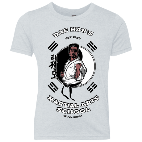 T-Shirts Heather White / YXS Dae Hans Martial Arts Youth Triblend T-Shirt