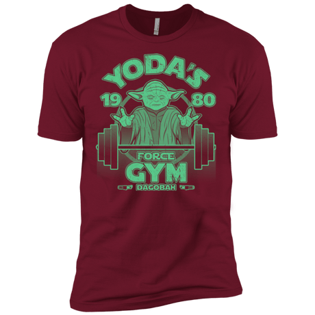 T-Shirts Cardinal / X-Small Dagobah Gym Men's Premium T-Shirt
