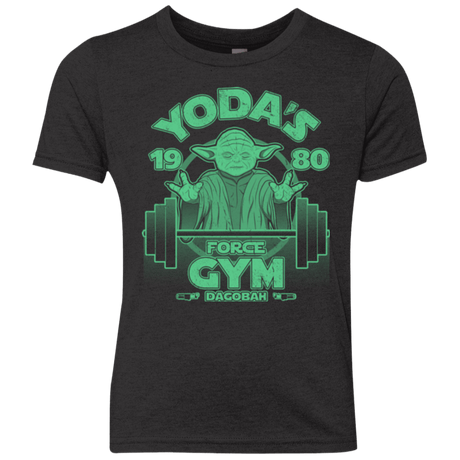 T-Shirts Vintage Black / YXS Dagobah Gym Youth Triblend T-Shirt