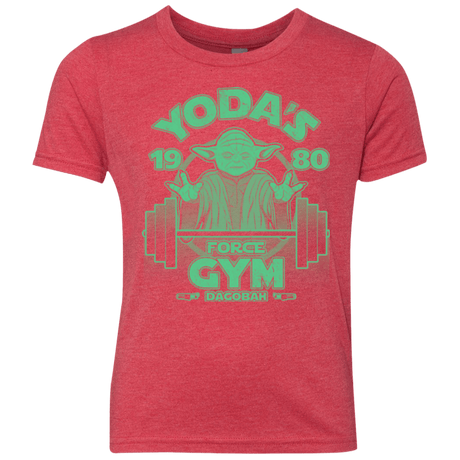 T-Shirts Vintage Red / YXS Dagobah Gym Youth Triblend T-Shirt