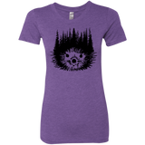 T-Shirts Purple Rush / S Dam Beaver Women's Triblend T-Shirt