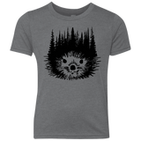 T-Shirts Premium Heather / YXS Dam Beaver Youth Triblend T-Shirt
