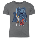 T-Shirts Premium Heather / YXS Darthskull Castle Youth Triblend T-Shirt