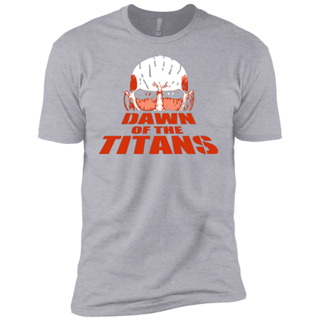 T-Shirts Heather Grey / YXS Dawn of the Titans Boys Premium T-Shirt