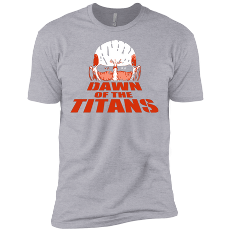 T-Shirts Heather Grey / X-Small Dawn of the Titans Men's Premium T-Shirt