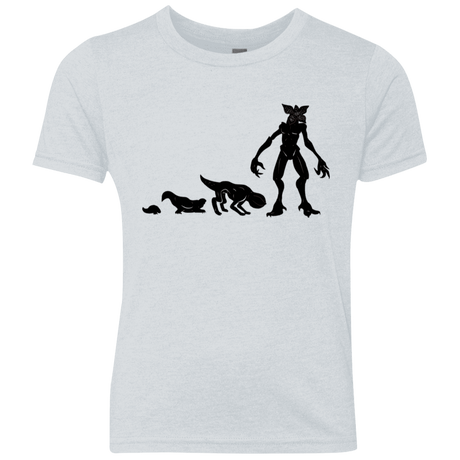 T-Shirts Heather White / YXS Demogorgon Evolution Youth Triblend T-Shirt