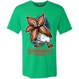 T-Shirts Envy / Small Demoporgon Men's Triblend T-Shirt