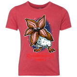 T-Shirts Vintage Red / YXS Demoporgon Youth Triblend T-Shirt