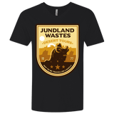 T-Shirts Black / X-Small Desert Tours Men's Premium V-Neck
