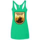 T-Shirts Envy / X-Small Desert Tours Women's Triblend Racerback Tank