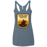 T-Shirts Indigo / X-Small Desert Tours Women's Triblend Racerback Tank