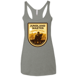 T-Shirts Venetian Grey / X-Small Desert Tours Women's Triblend Racerback Tank