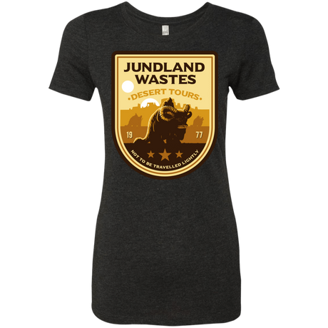 T-Shirts Vintage Black / Small Desert Tours Women's Triblend T-Shirt