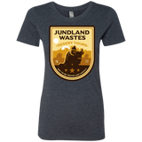 T-Shirts Vintage Navy / Small Desert Tours Women's Triblend T-Shirt