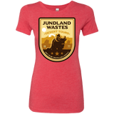 T-Shirts Vintage Red / Small Desert Tours Women's Triblend T-Shirt