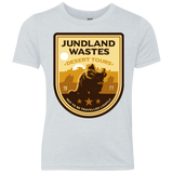 T-Shirts Heather White / YXS Desert Tours Youth Triblend T-Shirt