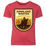 T-Shirts Vintage Red / YXS Desert Tours Youth Triblend T-Shirt