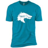 T-Shirts Turquoise / YXS Desolation is Coming white Boys Premium T-Shirt
