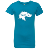 T-Shirts Turquoise / YXS Desolation is Coming white Girls Premium T-Shirt