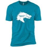 T-Shirts Turquoise / X-Small Desolation is Coming white Men's Premium T-Shirt