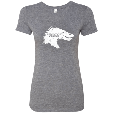 T-Shirts Premium Heather / Small Desolation is Coming white Women's Triblend T-Shirt